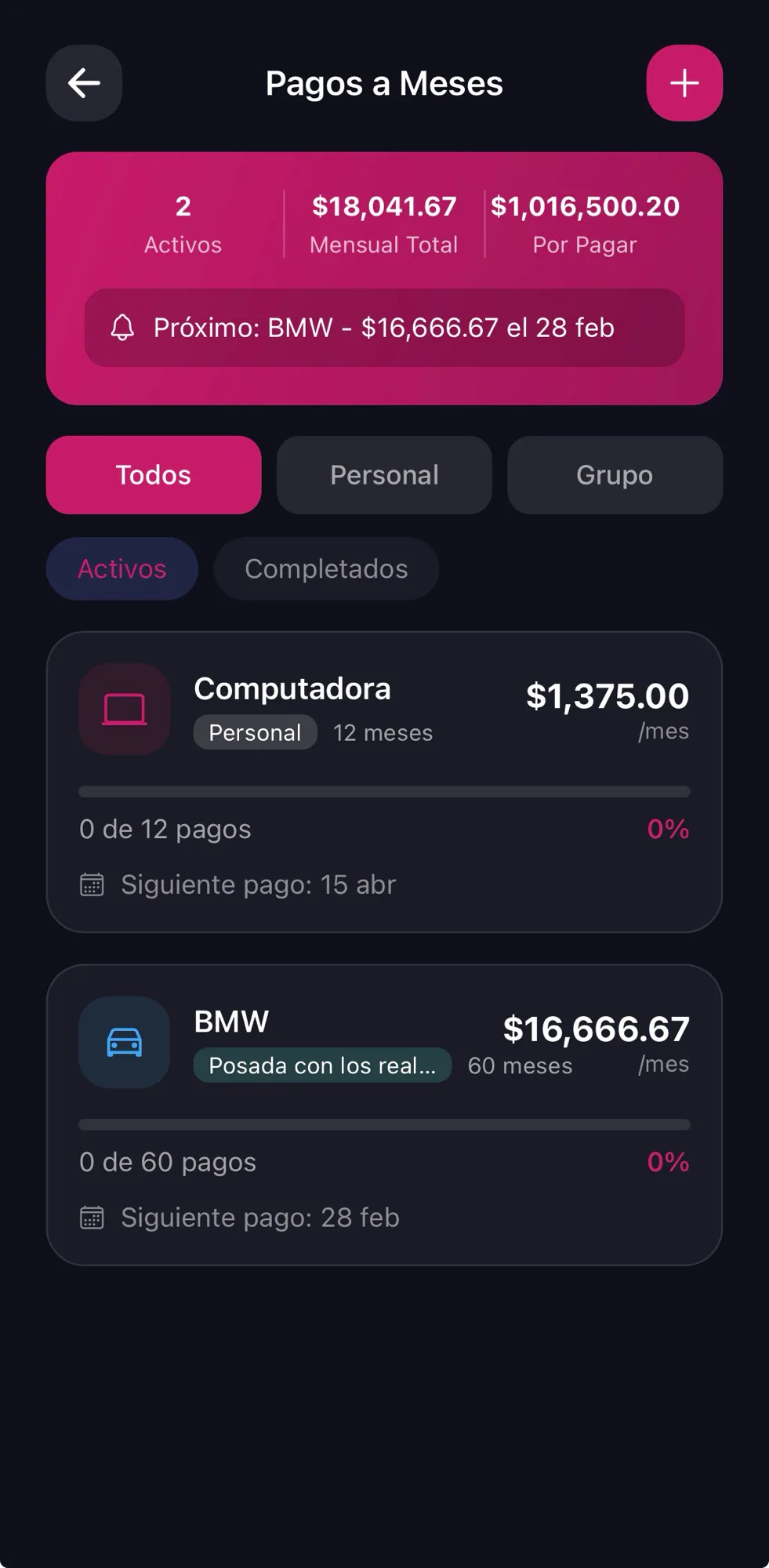 Pagos programados y a meses — captura 2 de 4