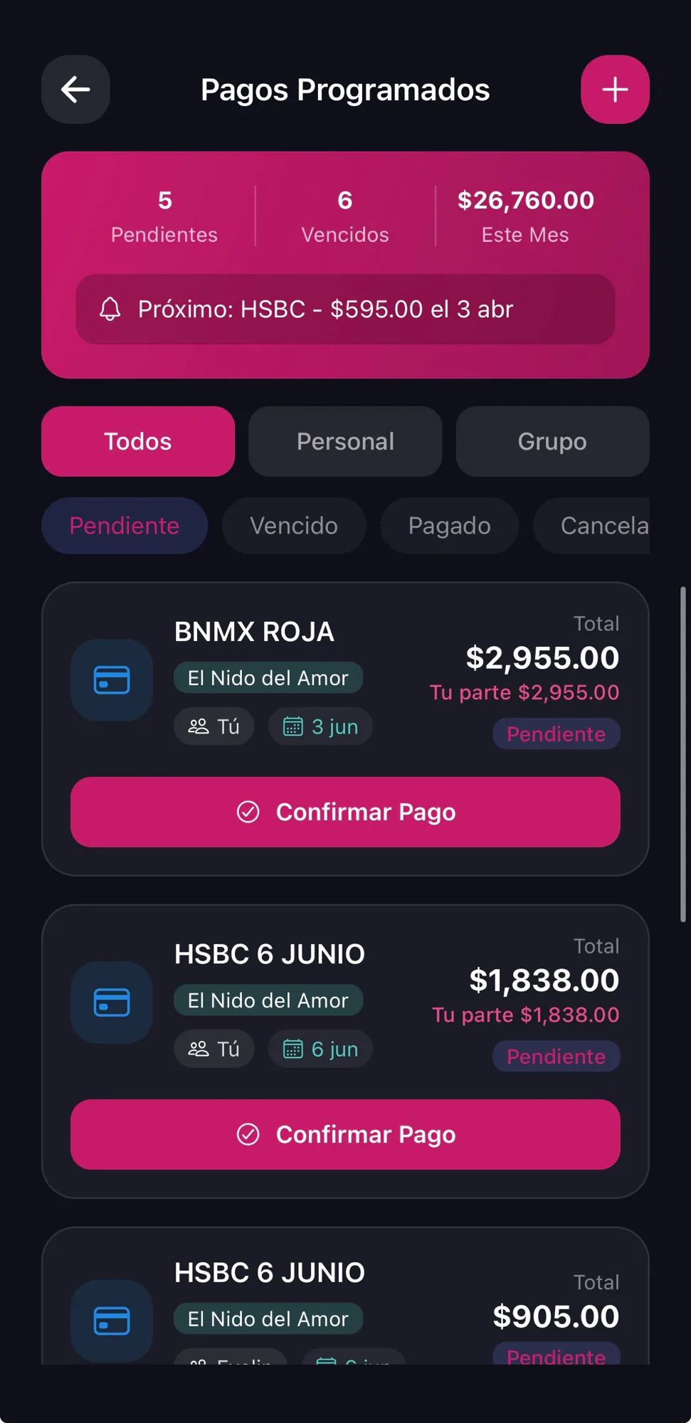 Pagos programados y a meses — captura 1 de 4