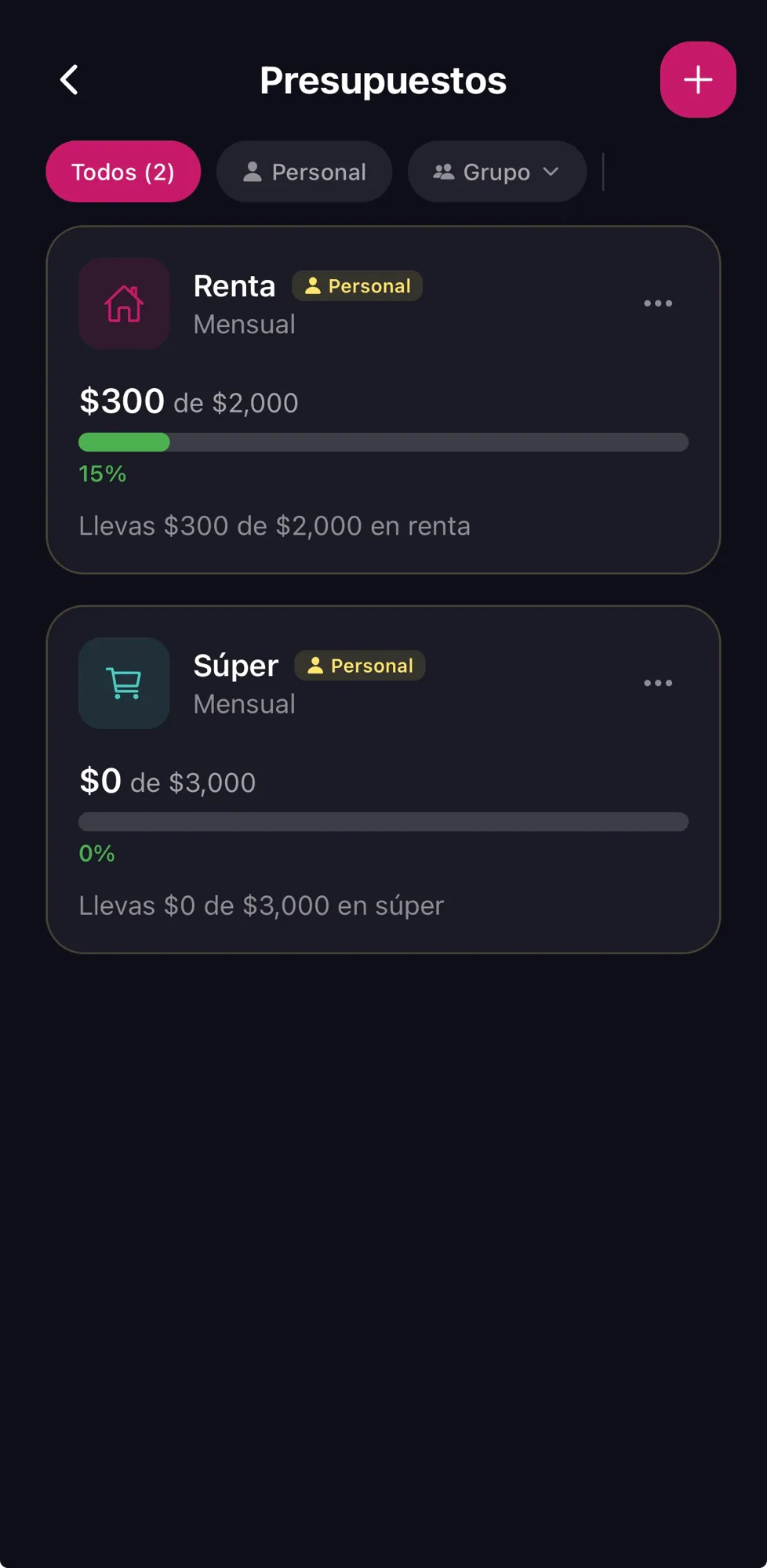 Presupuestos y metas de ahorro — captura 1 de 3