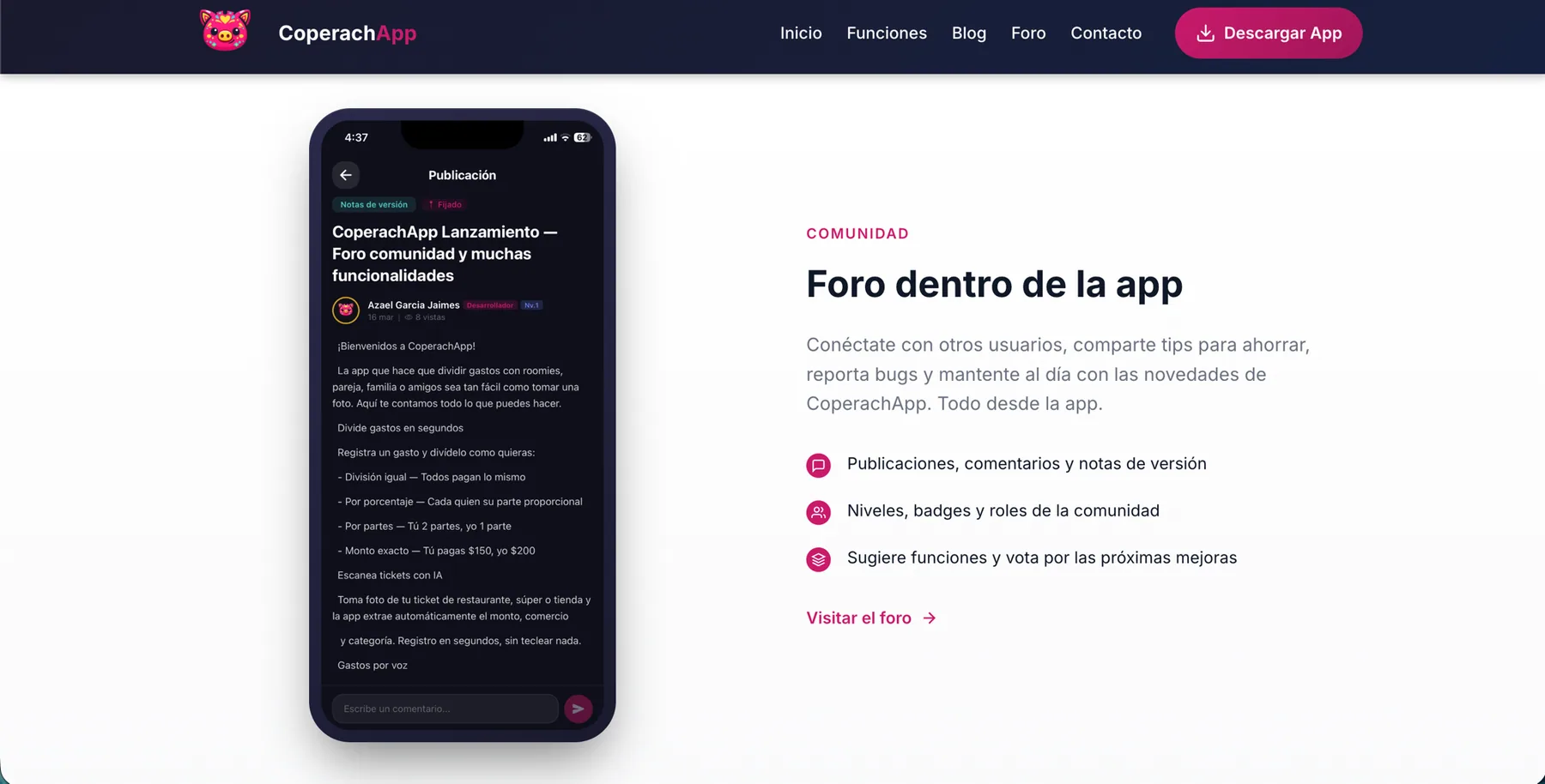 Sitio web — captura 5 de 5