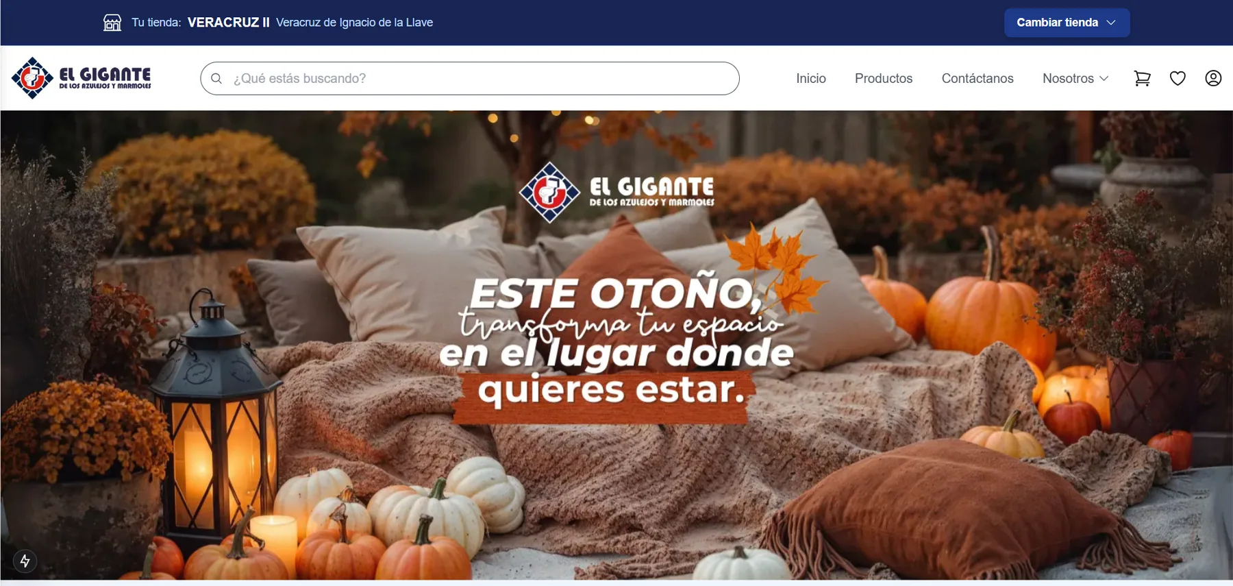 Ecommerce — captura 1 de 12
