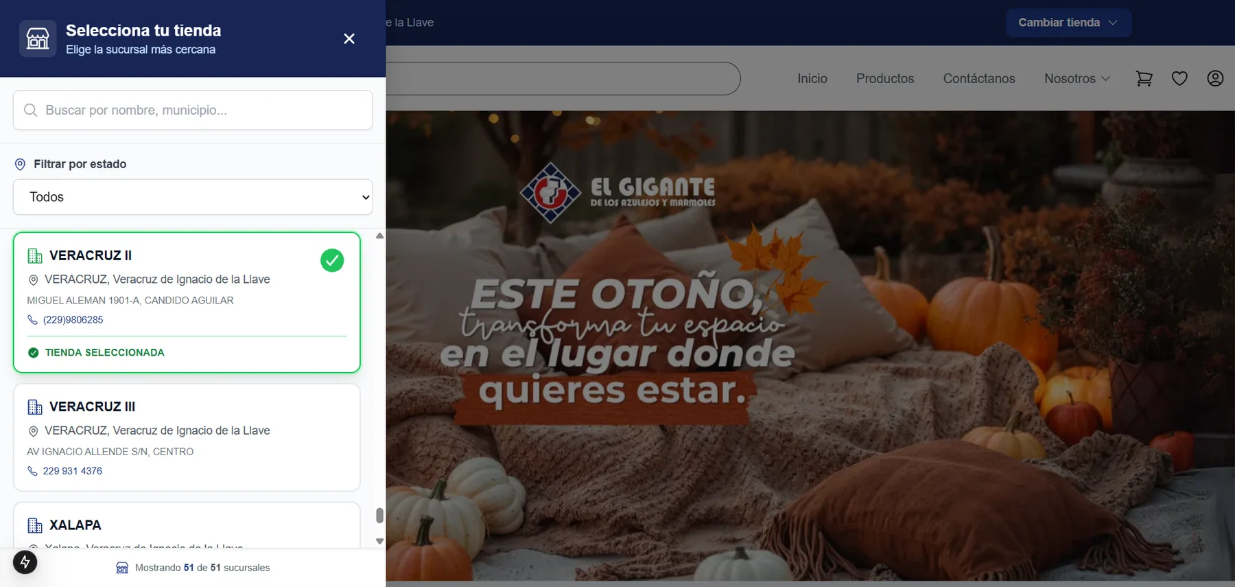 Ecommerce — captura 2 de 12